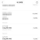 대박잡화 | [차란] 차란 옷장정리 잡화 후기!