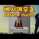 베사메무쵸 (Besame mucho) 이미지