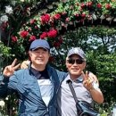 지성갈탄 | 自由人