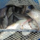 삼방낚시터 이미지