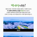 노원성모안과의원 네이버블로그