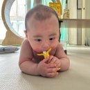 쿠팡 앙쥬 치발기 딸기 바나나 사용 후기