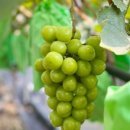 욱이농장 이미지