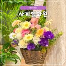 사계절화원 이미지