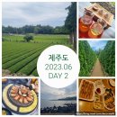 신흥1리 | 여행 기록_1_국내_제주도_2023년 6월_5박 6일_3탄_DAY 2 with 친구들