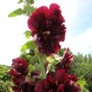 상예동-8 이미지