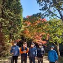 kt동우회산악회(인천본부) 온라인 전국합동 산악축제(소래산, 관모산, 봉재산, 원적산, 문학산, 연경산, 청량산) 이미지