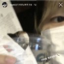 새뜻하게 이미지