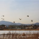 오리마중 이미지