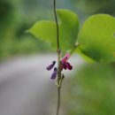 운문골마실길 이미지