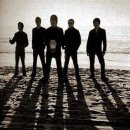 오아시스(oasis) 이미지