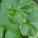 이승농장 이미지