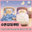 꿀잠 만드는 수면 루틴 만들기 | 화난 채로 자면 큰일나요! 약사가 알려주는 뇌 식히고 꿀잠자는 '감정 관리' 수면 루틴 Top4
