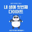 팔머메디스포츠 이미지