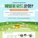 평창 게스트하우스 이미지