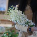 봉방8길 10, (봉방동) 이미지