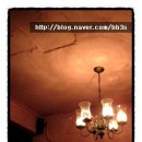 신사동-19 이미지