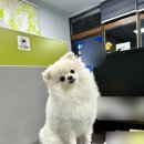 상동별빛부동산공인중개사사무소 이미지