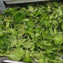 질경이농장 이미지