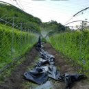 세찬농장 이미지