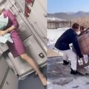 이은재농장 이미지