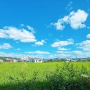 새천년공원길 이미지