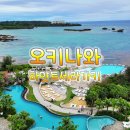 세라의하루 | 오키나와 하얏트 리젠시 세라가키 라군뷰 수영장 조식 솔직후기🌊