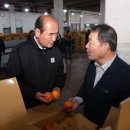 강영석 카카오 검색결과