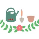 더바른팜