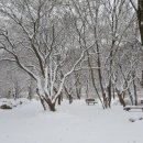 큰길어린이공원 이미지