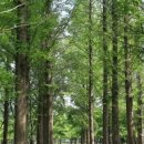 경주러브스토리펜션 이미지