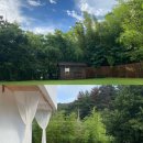 스테이숲숲 이미지