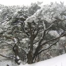 녹번-018 이미지