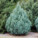 엔젤 식물원 이미지