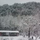 백담소나무계곡펜션 이미지