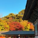 (유)동호택시 이미지