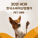 강아지내담