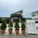 cafe 255 (카페 이오오)