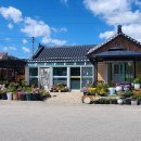 사계절민박 이미지