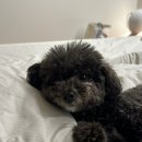 선흘정류장 이미지