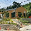 카페 윌로우(cafe willow) 이미지