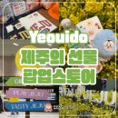 제주의 이유 | 3월 더현대서울 제주의선물 팝업스토어 후기 제주 항공권 선물