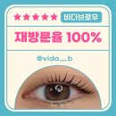비다브로우