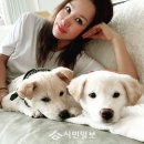 이쁘개# 이미지