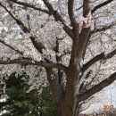 금호강4 이미지