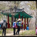 인삼전시관 이미지