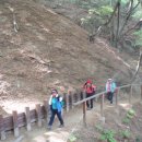 영숙 태양광 이미지