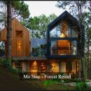 스테이포레스트 이미지