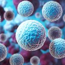 정맥환경㈜ 이미지