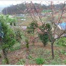 놀부농장 이미지